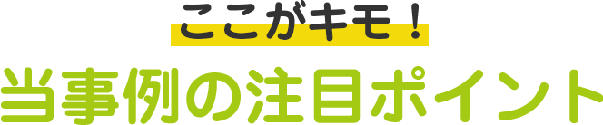 ここがキモ！当時例の注目ポイント