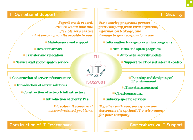 Conceptual diagram of the service