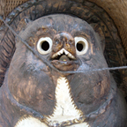 ネイチャー
